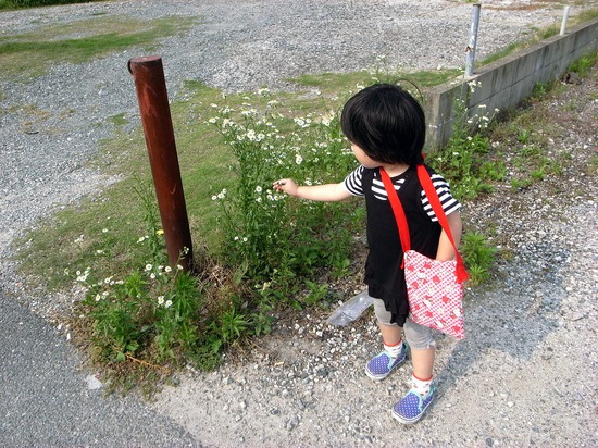 何かを見つけた京那